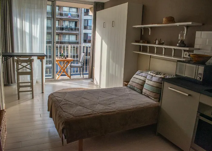 Gezellige Studio Met Balkon - Santhooft Centrum Nieuwpoort-Bad